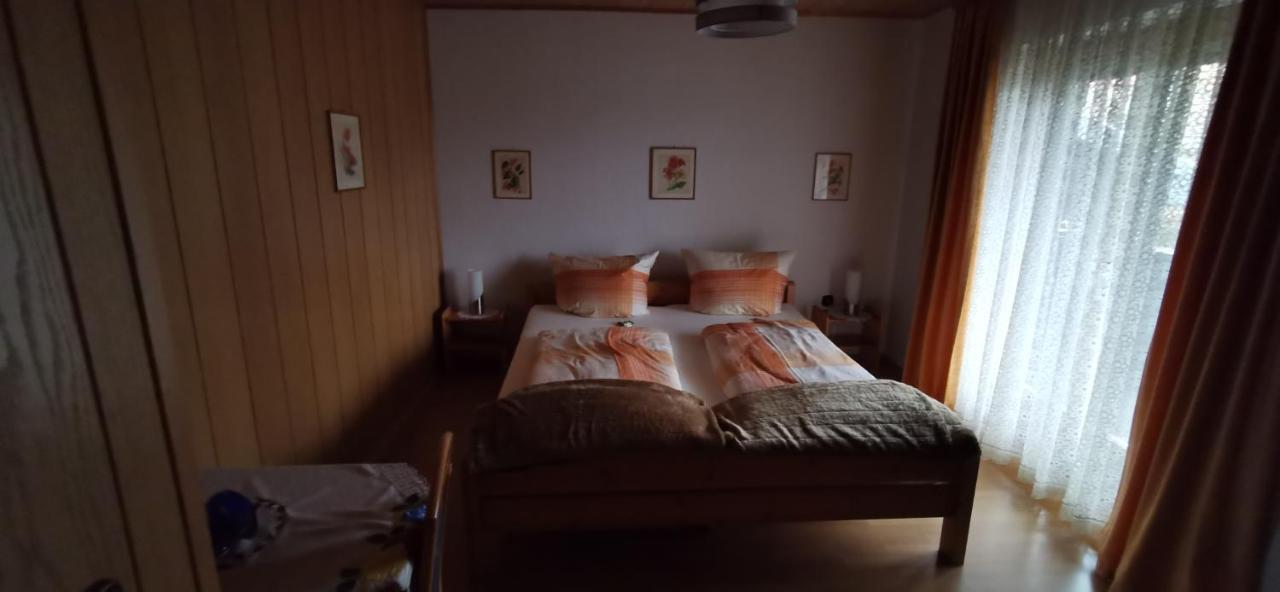 Haus Anton Apartment Zwiesel Bagian luar foto